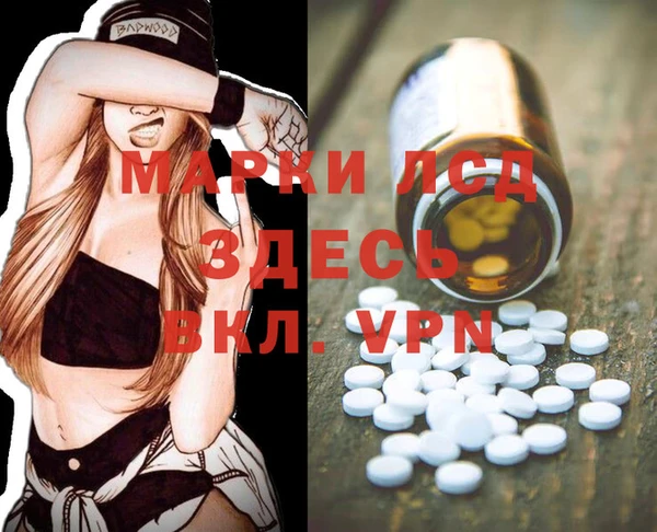 apvp Аркадак